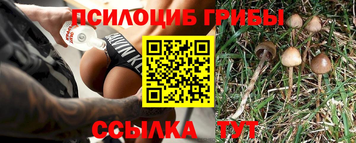 Псилоцибиновые грибы мухоморы Керчь