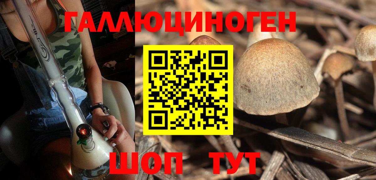 Псилоцибиновые грибы GOLDEN TEACHER  Псилоцибиновые грибы мицелий  Вход с VPN  Керчь 
